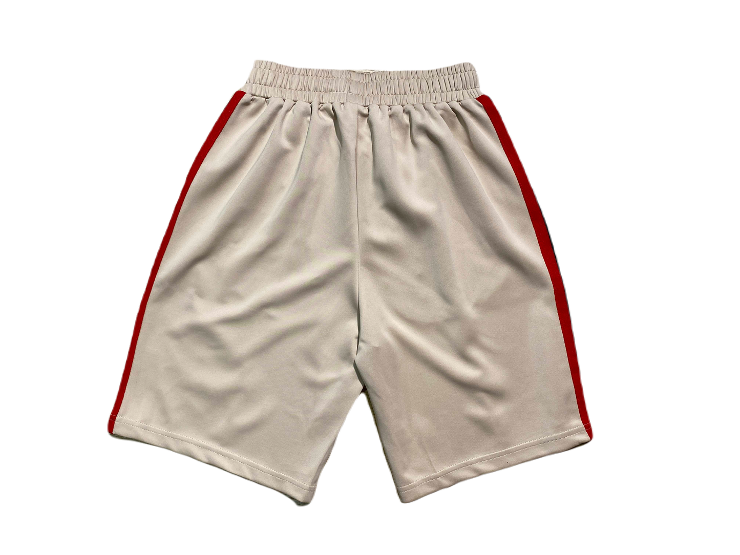 PALM -SHORTS