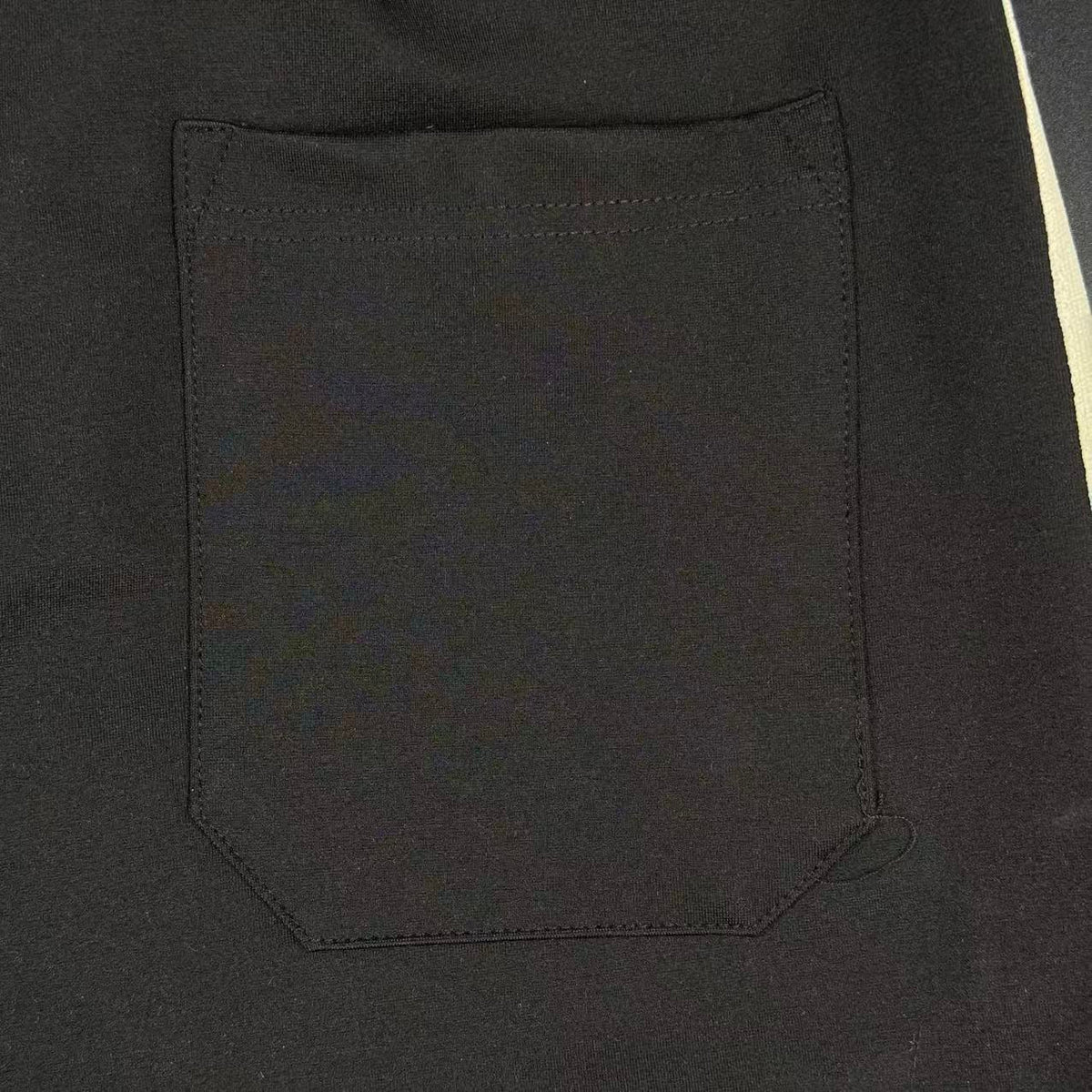 PALM – SHORTS