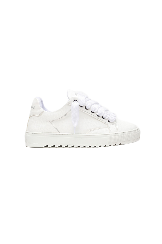 NUMERIS ATELIER WHITE