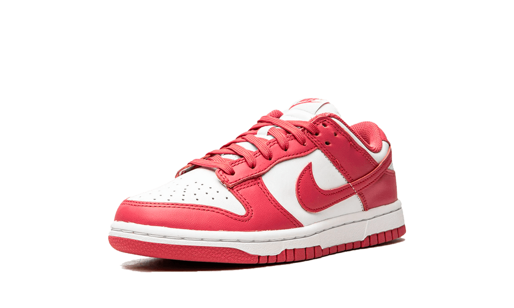 DUNK LOW ARCHEO PINK