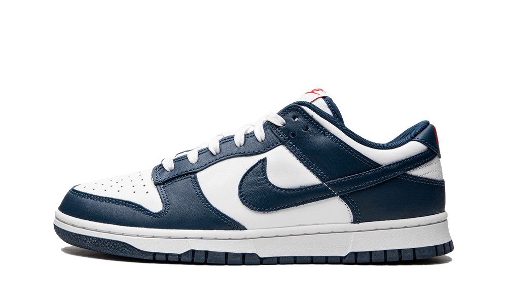 DUNK LOW VALERIAN BLUE
