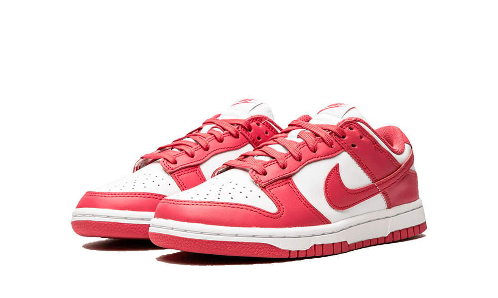 DUNK LOW ARCHEO PINK