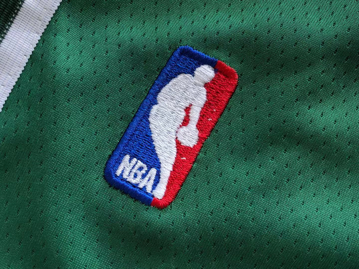NBA BASKETBALL SHORTS