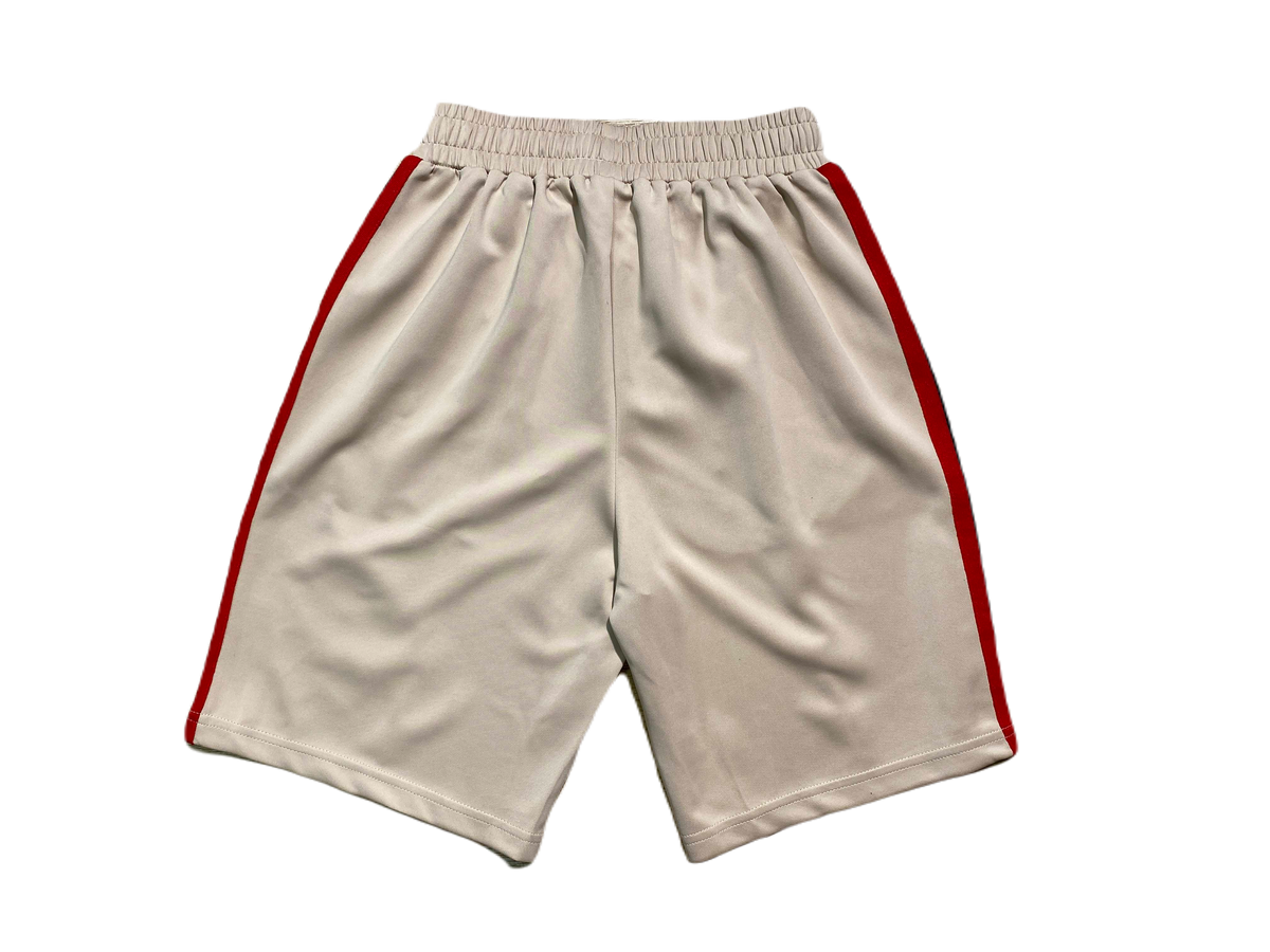 PALM -SHORTS